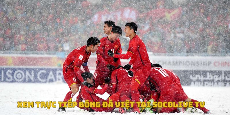 Xem trực tiếp bóng đá Việt tại Socolive TV